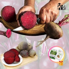 유기농비트 국산 제철 해남산 즙용 주스용 햇비트 2kg, 1박스