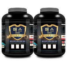 웨이테크 매스 슈퍼칼로리 살찌는보충제 체중증가 탄수화물 헬스보충제/ Super Calorie, 4kg, 2개
