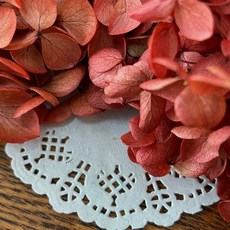 VITO zakka 木繡球永生花DIY乾燥花植物浮游花材花藝材料包拍攝道具DIY創作花材20g, 赭紅(現貨)