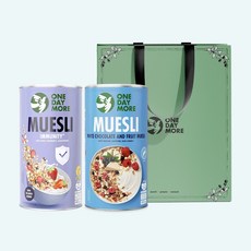[원데이모어] 뮤즐리 2개 세트 선물 그래놀라 오트밀 선물세트 쇼핑백포함, 딸기블랙커런트+화이트초코후르츠, 1개