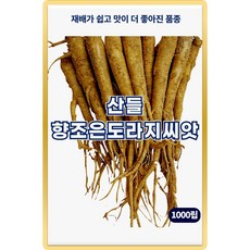 산들 향조은 도라지 씨앗 1000립 생육이 빠른 민속채소 도라지씨 종자, 1개