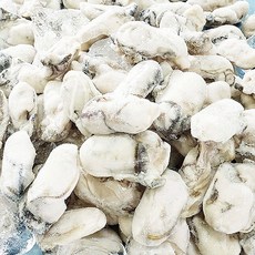 산지직송 제철석화5kg 통영석화 평일 당일출발, 1박스, 냉동굴1kg