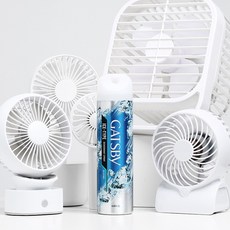 갸스비 데오도란트 스프레이 아이스 타입 아이스시트러스 216ml 1개