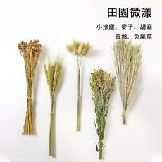 懶懶喵 造景花束 乾燥花 倉鼠籠 夏季除臭 花草造景包 自然零添加 天然花草 裝飾造景 免修剪, 1個, 田園微漾, 70g