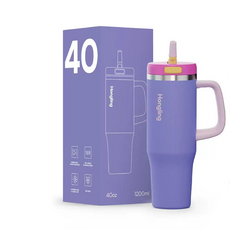 Ait 원터치 자동 빨대 보온보냉 텀블러, 2개, 960ml, 퍼플