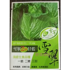 【野菜部屋】雪翠2號甘藍種子 頂級生食品種 耐黑腐病 抗病力佳 產量高 生長勢強壯 100顆, 1包