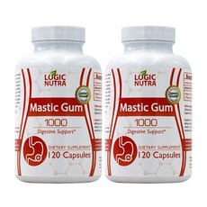 로직뉴트라 면역 소화도움 매스틱검 120캡슐 2통, 120정, 2개