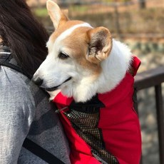 강아지포대기 중대형견 배낭형 이동가방 백팩, 1개, 레드