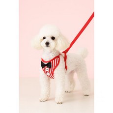 애견용품 액세서리 강아지목줄 산책 외출 반려견용품 하네스, M