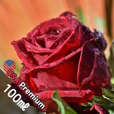 B039 도손 100ml (Doson) 프래그런스오일 캔들 디퓨저 향수, 1개