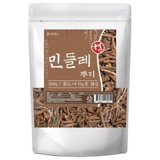 건강중심 국산 민들레 뿌리 차, 1개, 300g