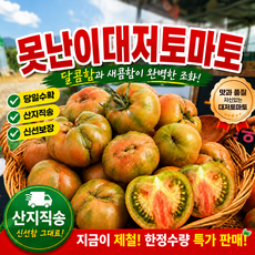 (특가) 재구매1위 맛보장 시농원 못난이대저토마토, 1박스, 2.5kg