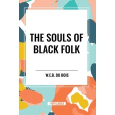(영문도서) The Souls of Black Folk (An African American Heritage Book) Paperback, Start Classics, English, 9798880921119