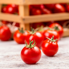 국내산 대추방울토마토 무농약 스테비아 망고향, 1개, 500g