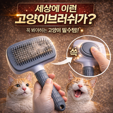 홈에이드 부드럽게 관리하는 고양이브러쉬, 1개, 그레이