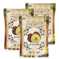 푸른들판 국내산 말린 영지 버섯, 3개, 500g
