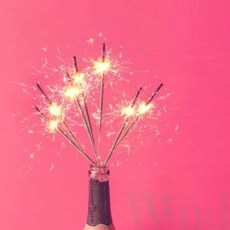 위랜드 스파클라 25cm (10개입)