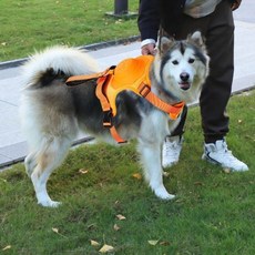 일괄형 통합형 튼튼한 훈련 산책용품 튼튼하고 목줄 외출용품 안전한 37675PC 1(pc), XL