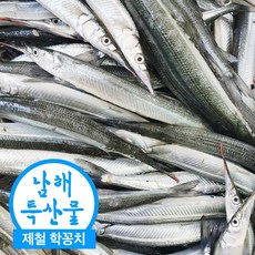 국산 제철 삼천포 학꽁치 회 술안주 막회 회무침 횟감 손질학꽁치 1kg (500gx2팩), 1개