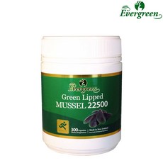 에버그린 초록입홍합 머슬 22500 300캡슐, 300정, 1개
