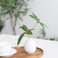 심플 귀여운 조화 화병 24cm (DIY) 인테리어 그리너리 여름 테이블 장식 소품 꾸미기, 1개, 파키라_화이트 도자기화병