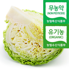 [쿠팡전용특가] 해독채소 국내산 친환경 양배추, 1개, 3kg