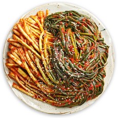 미친김치 국산 전라도 파김치 반찬 쪽파 김치, 1개, 5kg