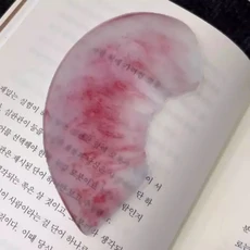 조각 모양 북 디자인의 사과 레몬 책 페 홀더 학생 선물, Grapefruit