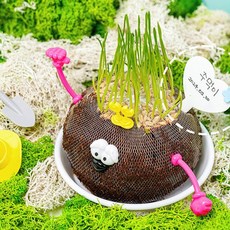 식물키우기 모스 토피어리키트 이끼인형 잔디인형