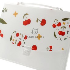 [오마누] 바인더화일 a4포켓화일 화일보관 도큐먼트 파일백 3p세트 13칸 체리