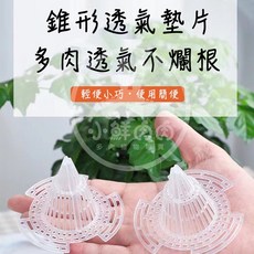 小鮮肉肉 錐形透氣墊片 防爛根, 1個