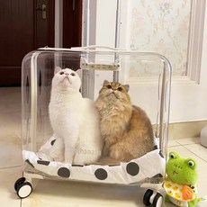 고양이 이동용 투명케이지 이동가방 바퀴, 라지 화이트 50x28x45cm, 컬렉션 쿠션 증정