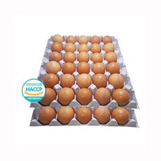 승혜상사 구운계란 군꼬꼬란 2판 [총60구], 1세트, 60구