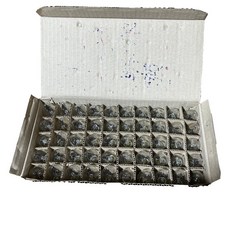 【高CP】2W盒裝清光/紅光燈泡 鎢絲燈泡 神明燈 小燈泡 E12燈泡, 1個, 清光