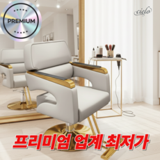 시엘로 미용실 의자 살롱 메이크업 회전 높이조절 스텐 받침대 체어, 1개, 02.오프화이트 골드프레임