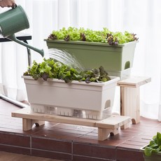 1+1 마이홈 깔끔 슬림 텃밭화분 실내 베란다 홈가드닝 + 배양토 20L + 씨앗 추가, 아이보리, 선택안함, 유러피안 모듬 샐러드 6종