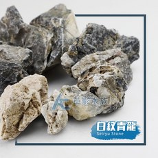 AC草影 白紋青龍石 M 1kg