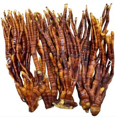 사슴 뿔을 닮은 녹각영지버섯 500g x 1봉(국내산), 1개
