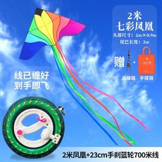 초대형 연 날리기 세트 가오리연 나비 제트기 한강, 2m 봉황 + 휠(700m)