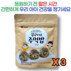 무농약 채소와 한우를 넣어 만든 후리카케 한살림 꾸러기 주먹밥, 3개, 30g, 한우