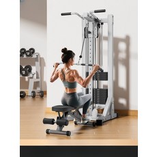 가정용 시티드로우 케이블 머신 홈짐 피트니스 홈, 고급형 100KG 친환경 중량, 단일 모델