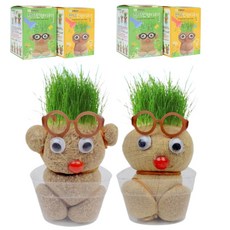 잔디인형 키우기 토피어리 재배키트 1인 4인 8인, 2개