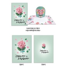 어르신만들기 노인정DIY키트 입체 카네이션카드만들기세트 축하선물, 1개, 상세페이지 참고