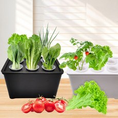 홈가드닝 플랜트박스 텃밭화분 저면관수 트레이 삽목판 수경재배 키트 육묘 상자 실내 베란다, 화이트