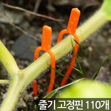 세인화분 화분 식물 줄기 고정 핀 110P - 고정핀 넝쿨 뿌리 고정클집게 립 딸기 수박 덩쿨 홀더 지지대 보강핀 유인핀 런너핀 러너핀 지주대, 110개, 식물고정핀 110개, 식물고정핀