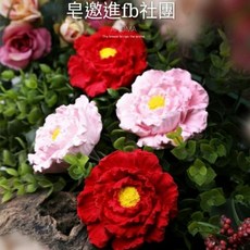 立體牡丹花 蠟燭模 手工皂模 香磚模 矽膠模, 1個