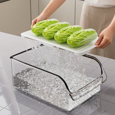 Equator 물빠짐 다용도 손잡이 냉장고 보관함 정리함, 4개, 투명