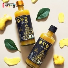 봉동생강마을 충무공 제로 생강청 알룰로스 봉동생강 무설탕 생강차 360mL, 1개, 1개입
