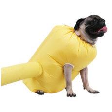 CompLife Pet Dresser 寵物烘乾室 L, 黃色, 1個