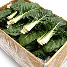 국내산 특품 근대 한박스 4kg 쌈채소 이유식 샐러드채소 된장국 가락시장 당일새벽경매, 근대 1박스(약 4kg 내외), 1개